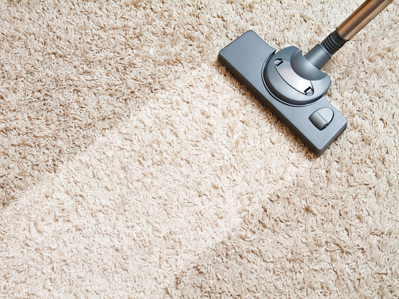 Carpet Cleaning Lakeland Services Lakeland Carpet Cleaning Company